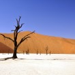 Podróżowanie w czterech ścianach – pomysły na klimatyczne aranżacje wnętrz